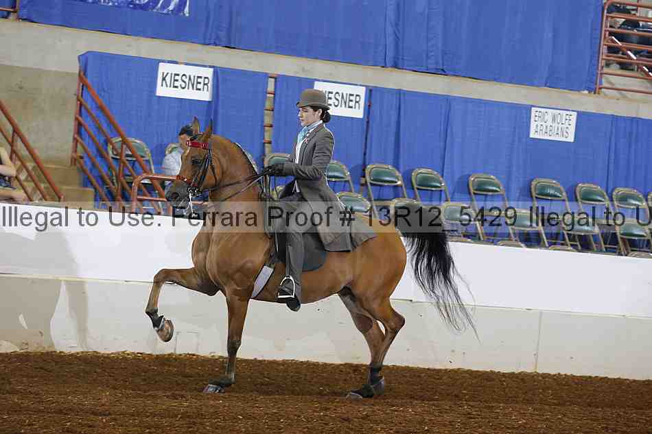 Proof 13r12_5429