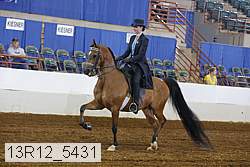 13r12_5431 proof