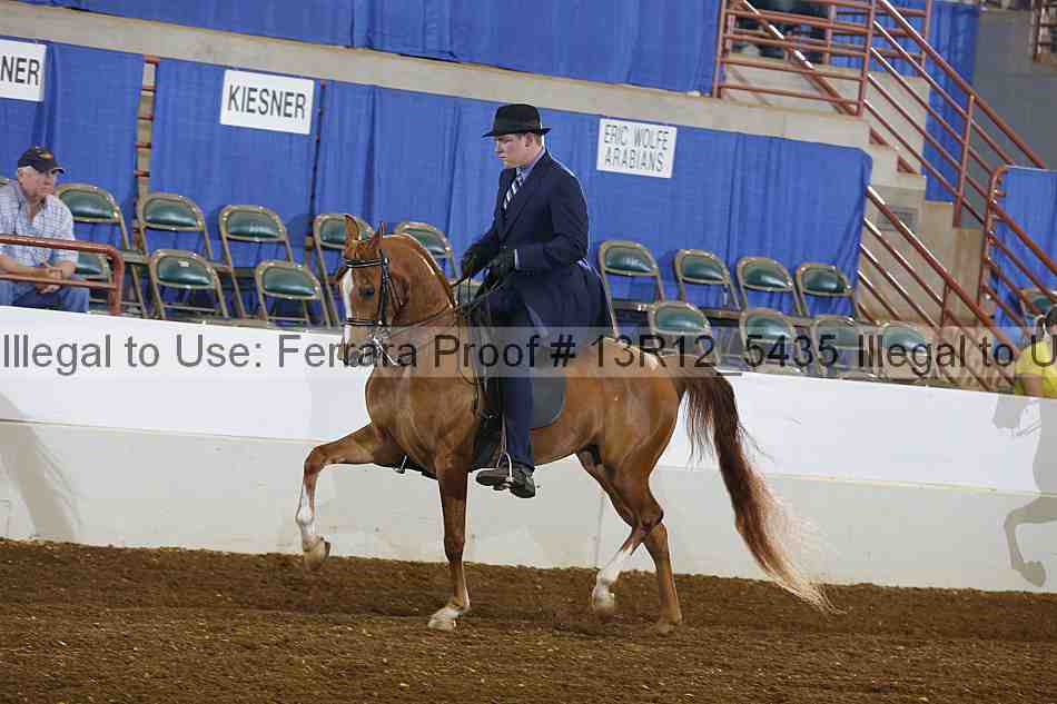 Proof 13r12_5435