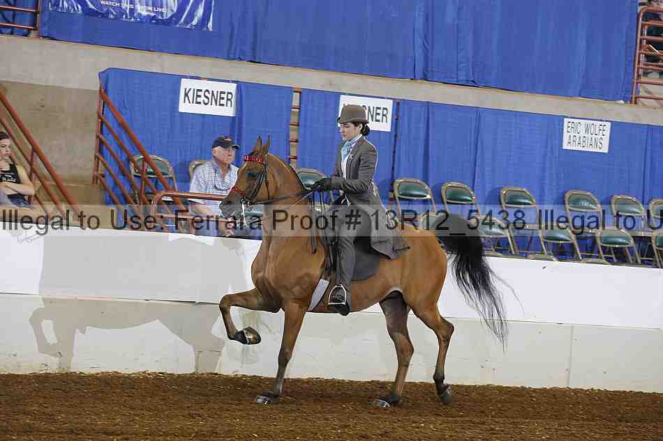 Proof 13r12_5438