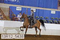 13r12_5438 proof