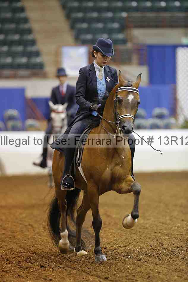Proof 13r12_5439