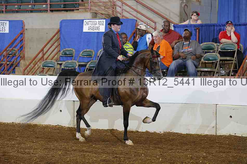 Proof 13r12_5441