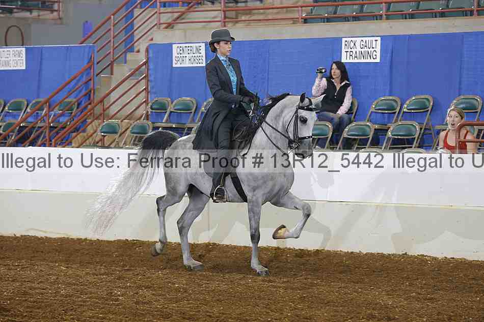 Proof 13r12_5442