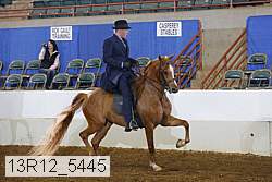 13r12_5445 proof