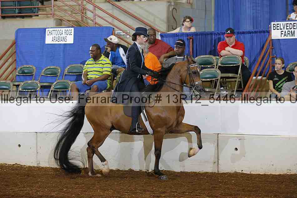 Proof 13r12_5446