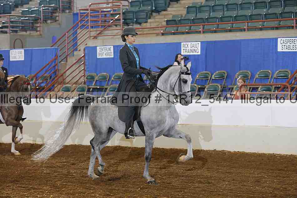 Proof 13r12_5447