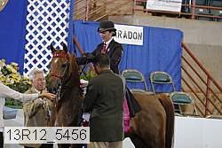 13r12_5456 proof