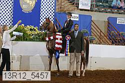 13r12_5457 proof