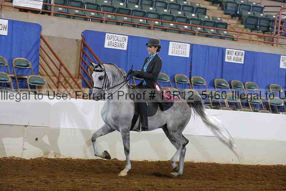 Proof 13r12_5460