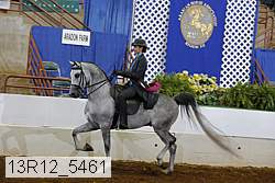 13r12_5461 proof