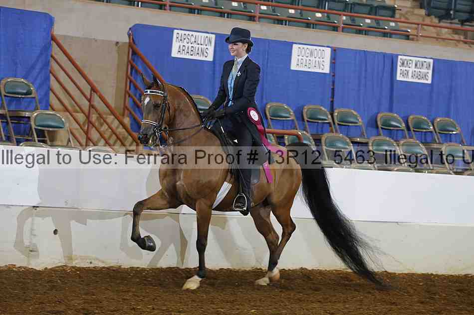 Proof 13r12_5463