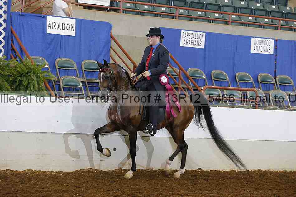 Proof 13r12_5466