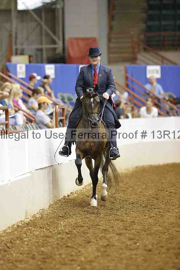 Proof 13r12_5469