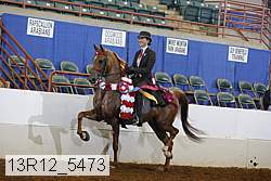 13r12_5473 proof