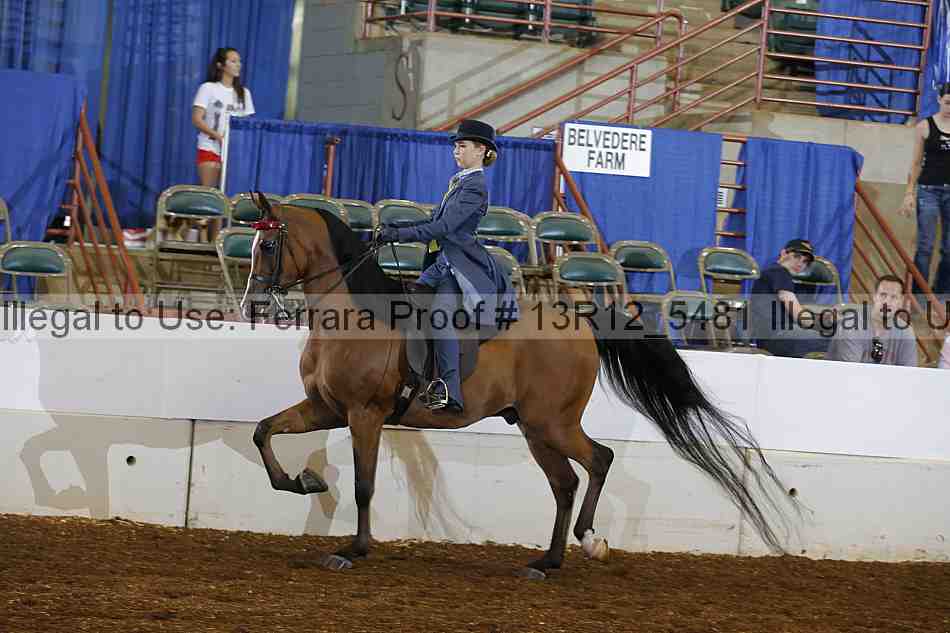 Proof 13r12_5481