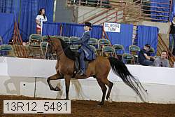13r12_5481 proof