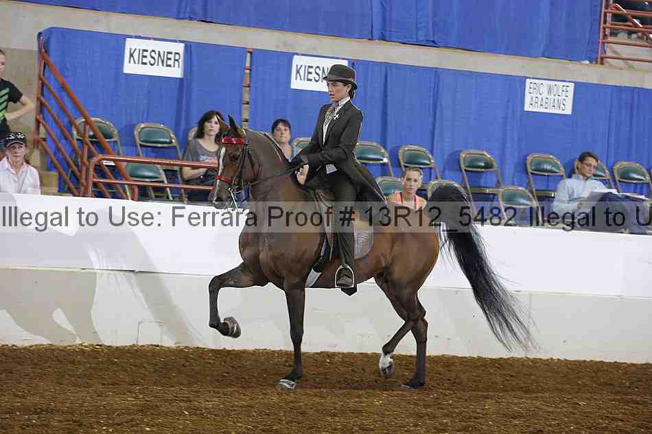 Proof 13r12_5482