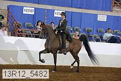13r12_5482 proof