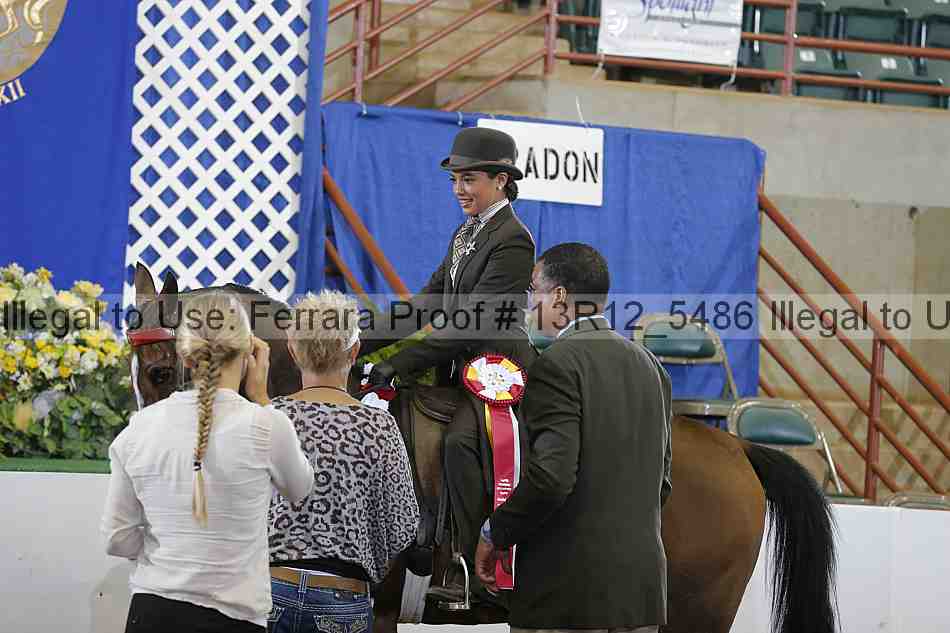 Proof 13r12_5486