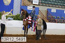 13r12_5491 proof