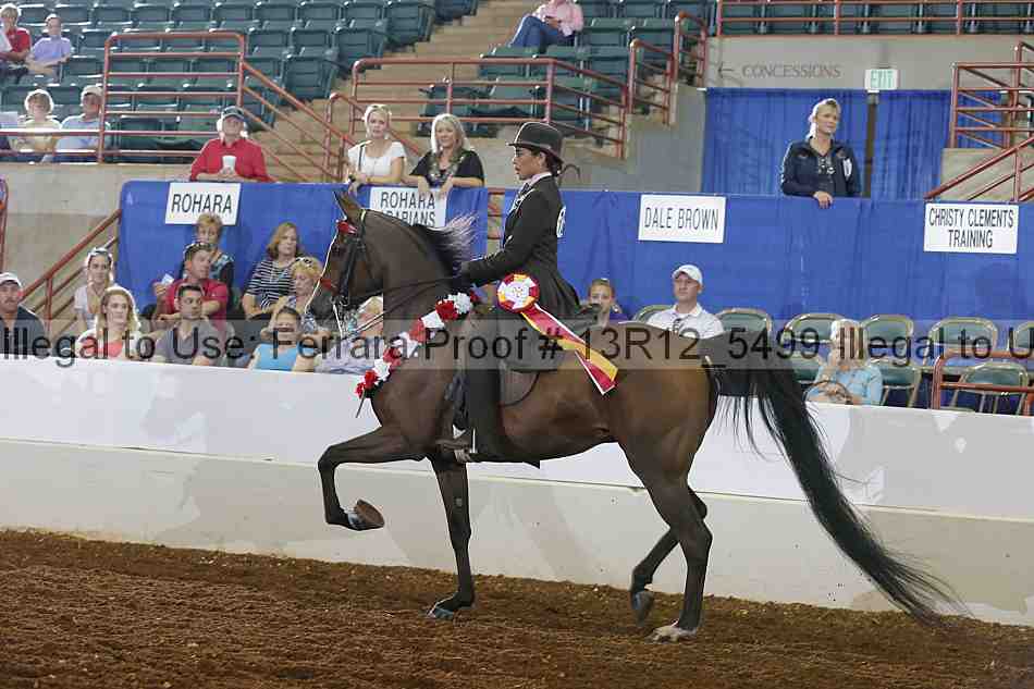 Proof 13r12_5499