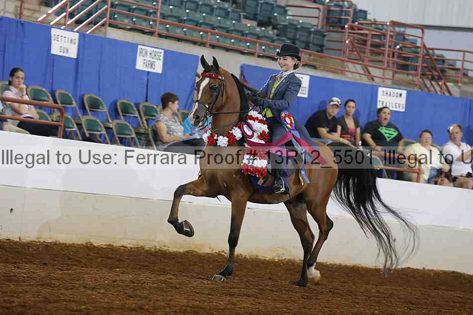 Proof 13r12_5501