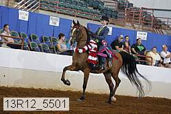 13r12_5501 proof