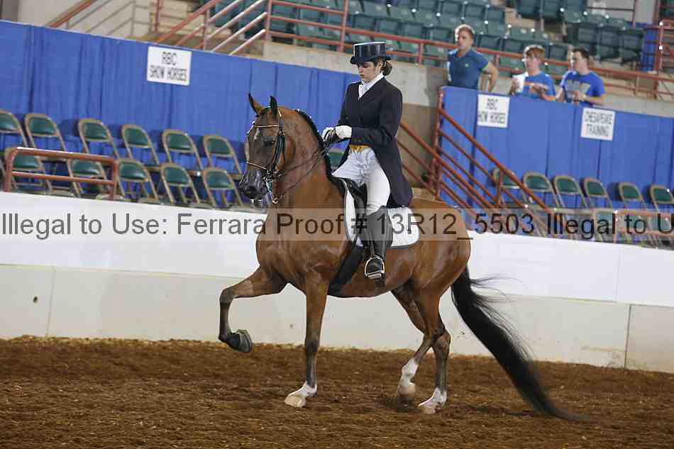 Proof 13r12_5503