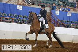 13r12_5503 proof