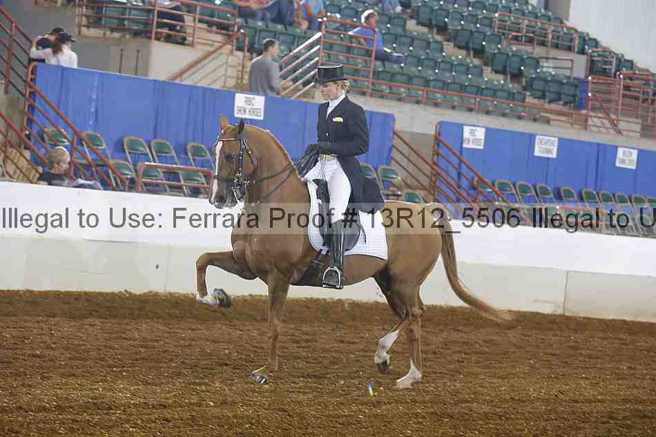 Proof 13r12_5506