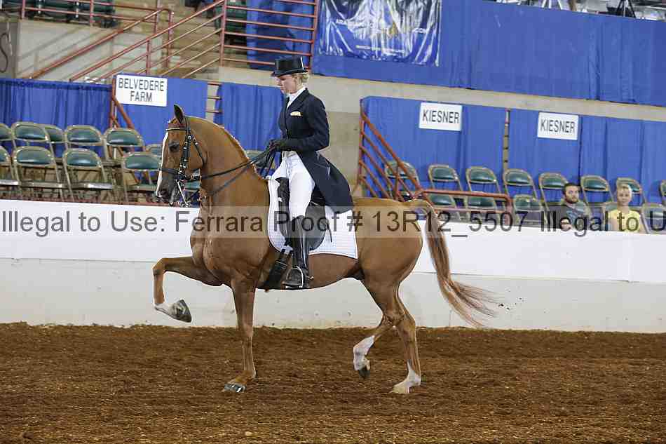 Proof 13r12_5507