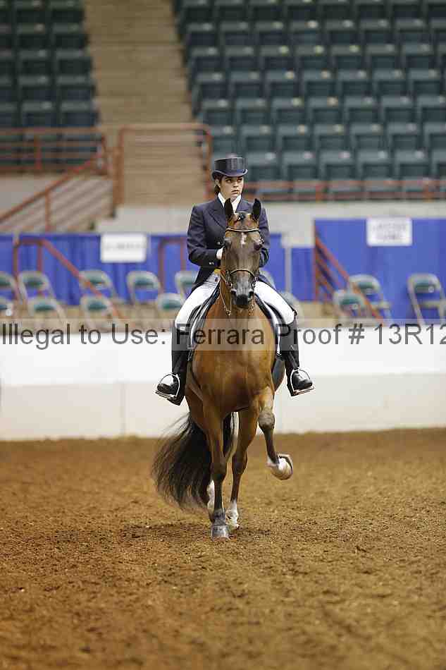 Proof 13r12_5509