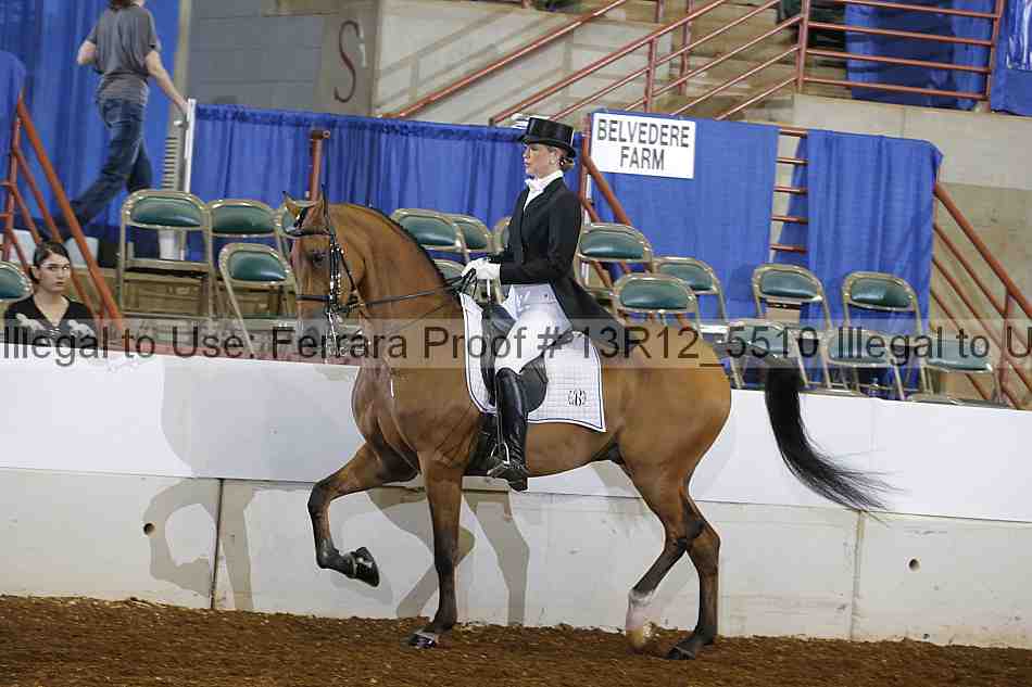 Proof 13r12_5510