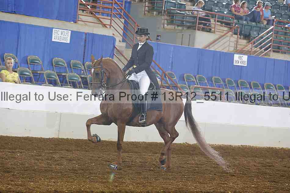 Proof 13r12_5511