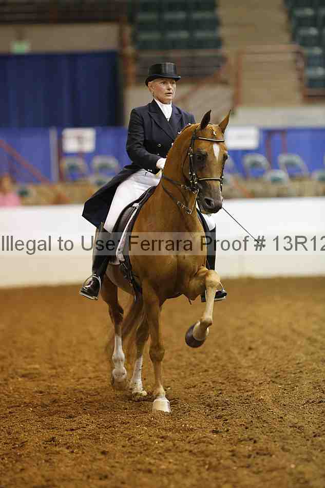 Proof 13r12_5515