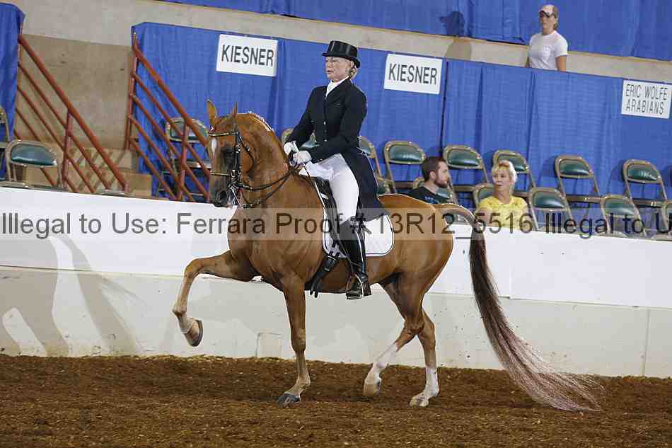 Proof 13r12_5516