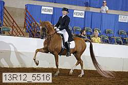 13r12_5516 proof