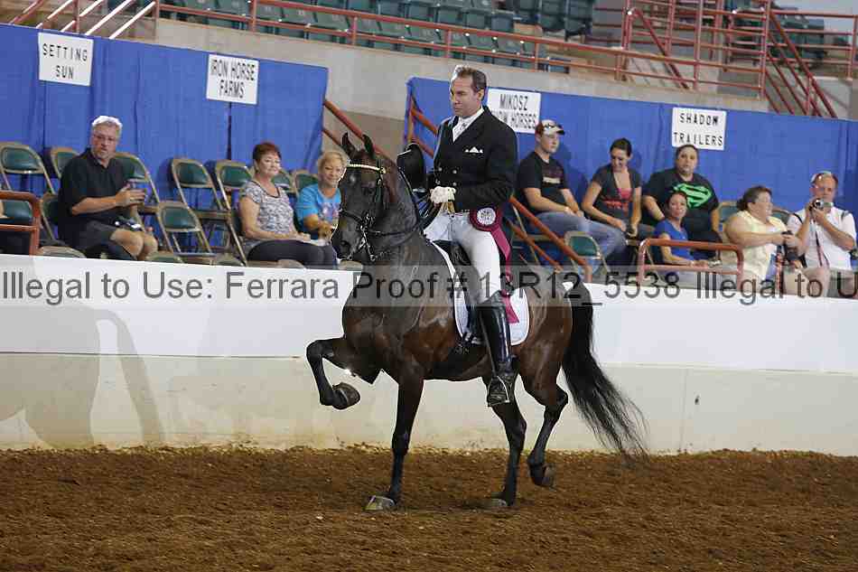 Proof 13r12_5538
