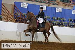 13r12_5547 proof