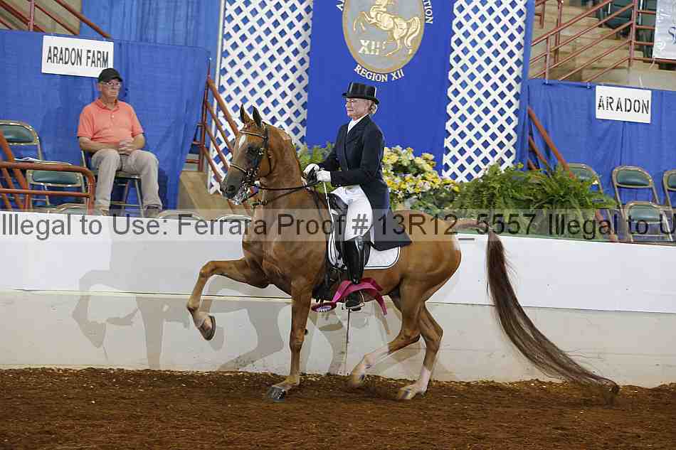 Proof 13r12_5557