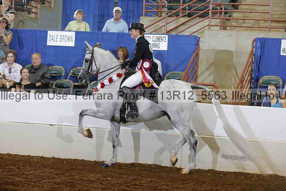 Proof 13r12_5563