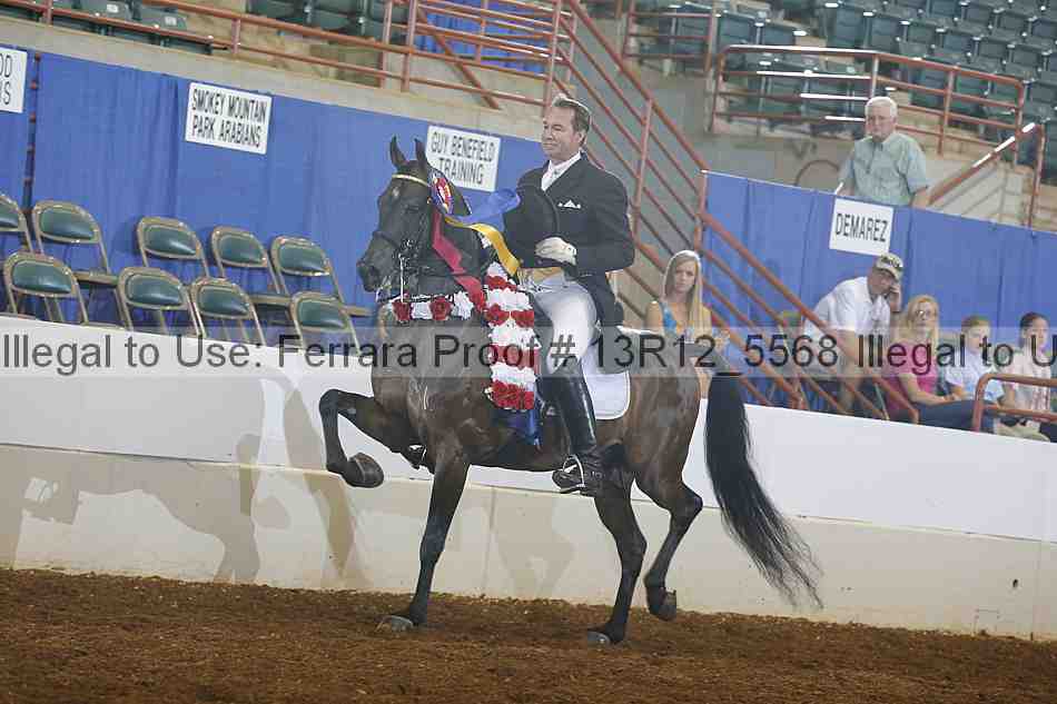 Proof 13r12_5568