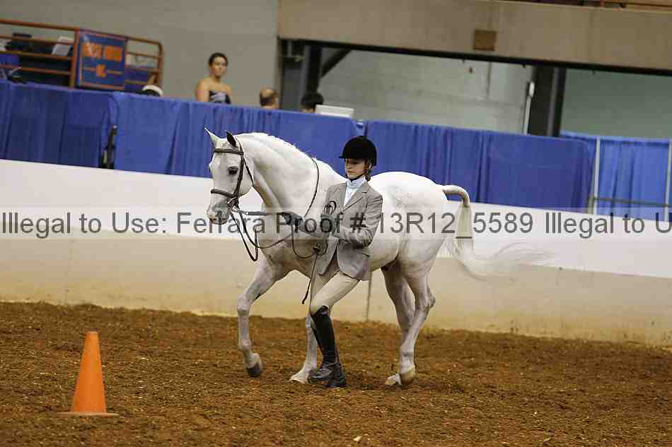 Proof 13r12_5589