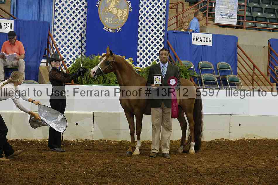 Proof 13r12_5597