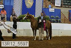 13r12_5597 proof