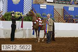 13r12_5622 proof