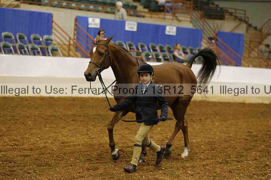 Proof 13r12_5641