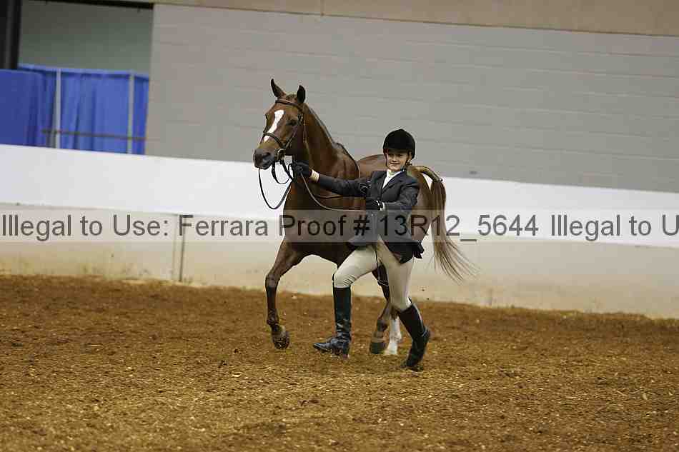 Proof 13r12_5644