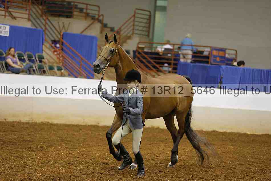 Proof 13r12_5646